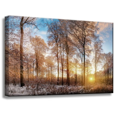 Leinwandgemälde Bäume Winter aufgehende Sonne 60x40 cm