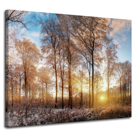 Leinwandgemälde Bäume Winter aufgehende Sonne 100x80 cm