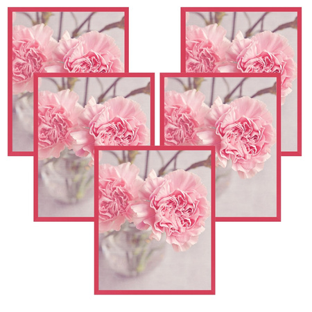 5x Amarant-Rahmen 24x30, I L13,15,056, Plexiglas
