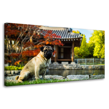 Leinwandgemälde Tiere Hund_2 80x40 cm