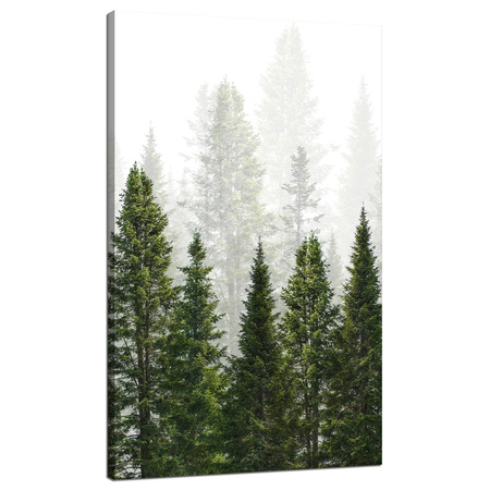 Leinwandgemälde Regenwald Natur Bäume 70x120 cm