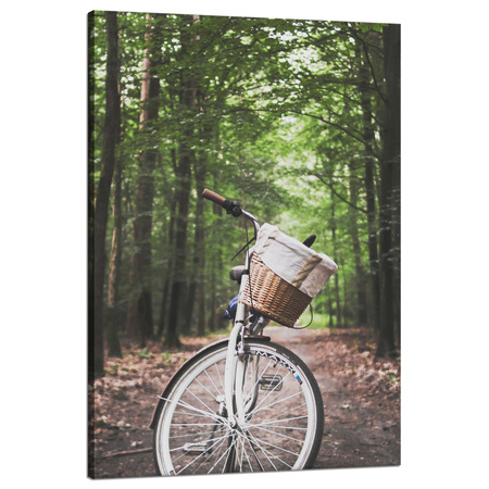 Leinwanddruck Jugendfahrrad im Wald 80x120