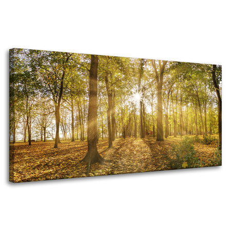 Leinwandgemälde Sonne zwischen Bäumen im Wald 80x40 cm