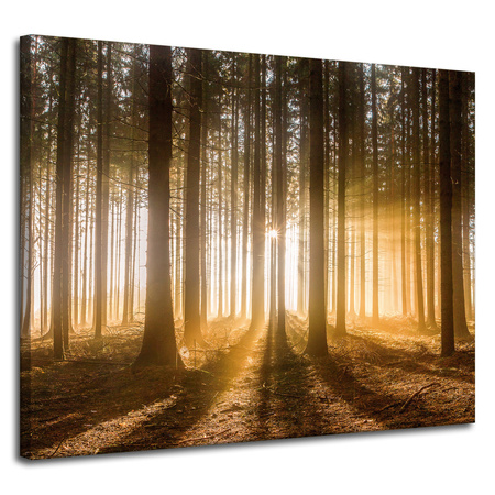 Leinwandgemälde Sonne im Wald Baumlicht 100x80 cm