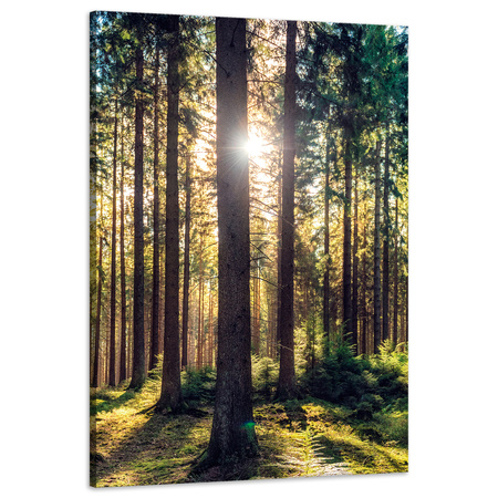 Leinwanddruck Wald Sonne Bäume Frühlingsmorgen 60x90 cm
