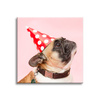 Leinwanddruck Jugend Mops Geburtstag 90x90