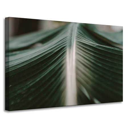Leinwandgemälde Natur Palmblatt 90x60