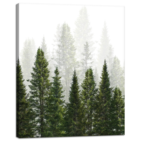 Leinwandgemälde Regenwald Natur Bäume 40x50 cm