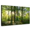 Leinwanddruck Sonne, Wald, Bäume, Lichtstrahlen, 100x60 cm