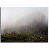 Leinwandgemälde Naturnebel_2 40x30 cm