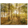Leinwandgemälde Sonne zwischen Bäumen im Wald 100x80 cm