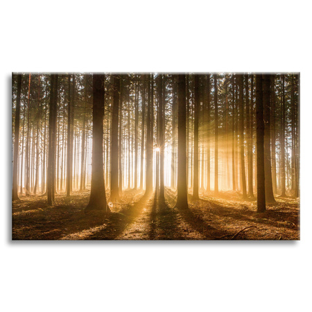 Leinwandgemälde Sonne im Wald Baumlicht 70x50 cm