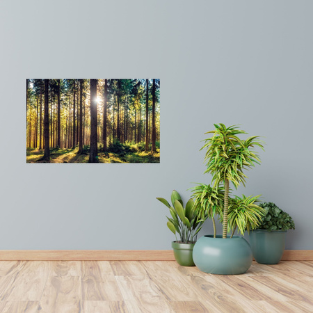 Leinwanddruck Wald Sonne Bäume Frühlingsmorgen 120x60 cm