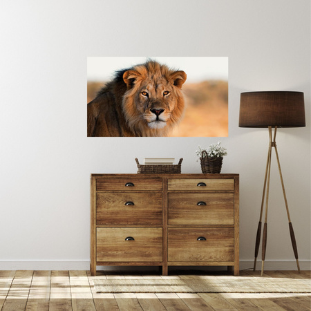 Leinwandgemälde Löwengesicht im Sonnenlicht 100x80 cm