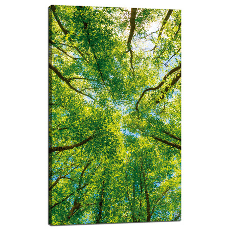 Leinwandgemälde Bäume Blätter Natur Wald Frühling 60x100 cm