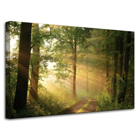 Leinwandgemälde Sonnenlicht Waldweg Natur 80x50 cm