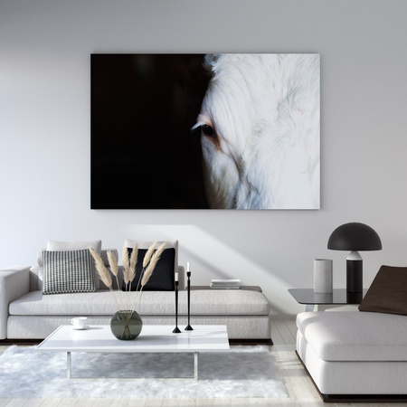 Leinwandgemälde Tiere Auge 40x30 cm