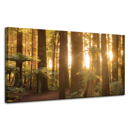 Leinwandgemälde Sonnenstrahlen Waldbäume 120x60 cm