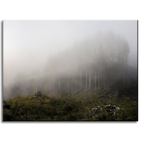 Leinwandgemälde Naturnebel_2 40x30 cm