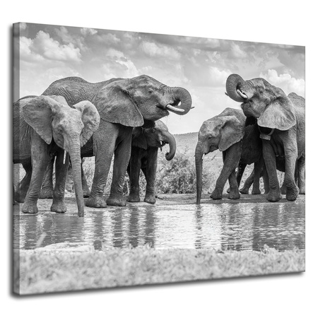 Leinwandgemälde Elefanten am Wasser Graue Natur 100x80 cm