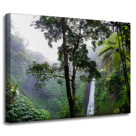 Leinwandgemälde Natur Tropischer Wald 40x30 cm