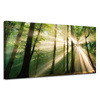 Leinwandgemälde Sonne im Wald Bäume Natur 120x60 cm