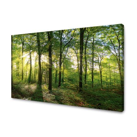 Leinwandgemälde Sonne, Wald, Bäume, Lichtstrahlen, 120x80 cm