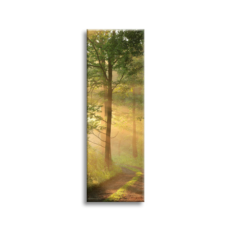 Leinwandgemälde Sonnenlicht Waldweg Natur 40x120 cm