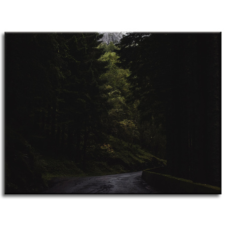 Leinwandgemälde Natur Bergstraße 40x30 cm