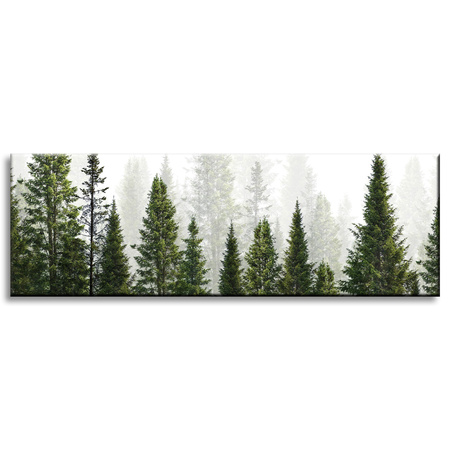 Leinwandgemälde Regenwald Natur Bäume 120x40 cm