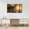 Leinwandgemälde Birken Bäume Sonnenmorgen 100x80 cm