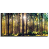 Leinwanddruck Wald Sonne Bäume Frühlingsmorgen 120x60 cm
