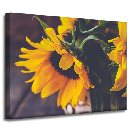 Leinwandgemälde Botanik Sonnenblumen 40x30 cm
