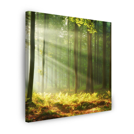 Leinwandgemälde Licht im Wald Natur Bäume 90X90 cm