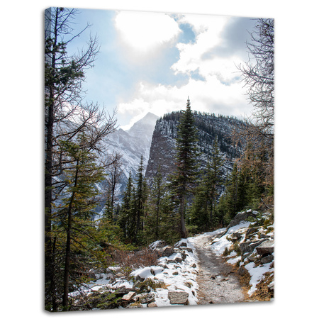 Leinwanddruck Nature Mountains Trail 30x40 cm