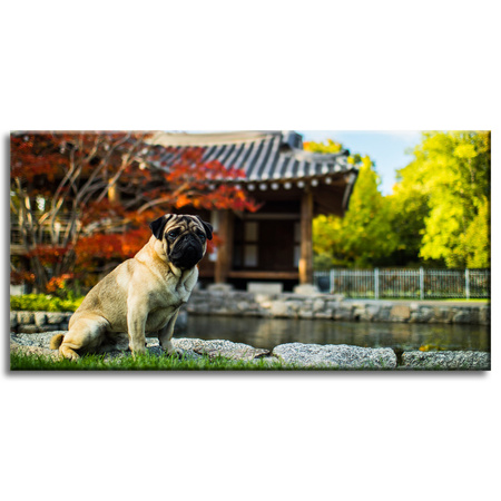 Leinwandgemälde Tiere Hund_2 80x40 cm