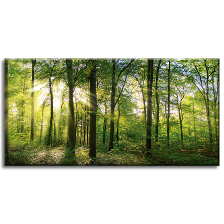 Leinwanddruck Sonne, Wald, Bäume, Lichtstrahlen, 80x40 cm
