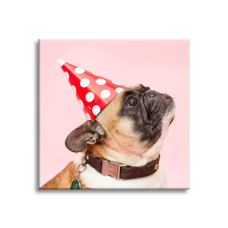 Leinwanddruck Jugend Mops Geburtstag 90x90