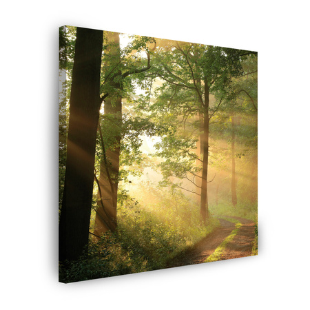 Leinwandgemälde Sonnenlicht Waldweg Natur 80X80 cm