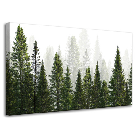 Leinwandgemälde Regenwald Natur Bäume 100x60 cm
