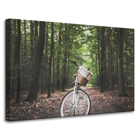 Leinwanddruck Jugendfahrrad im Wald 90x60