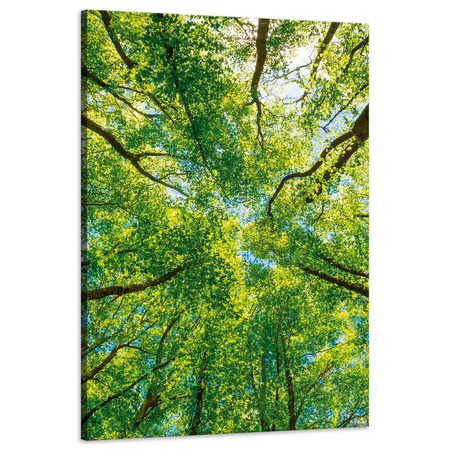 Leinwandgemälde Bäume Blätter Natur Wald Frühling 60x90 cm