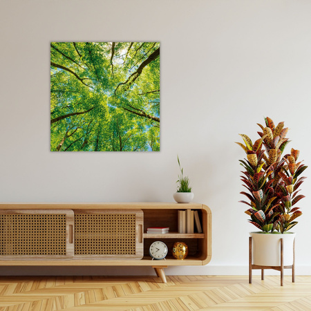 Leinwandgemälde Bäume Blätter Natur Wald Frühling 50X50 cm