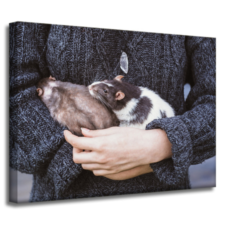 Leinwanddruck Tiere Tiere 40x30 cm