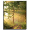 Leinwandgemälde Sonnenlicht Waldweg Natur 40x50 cm