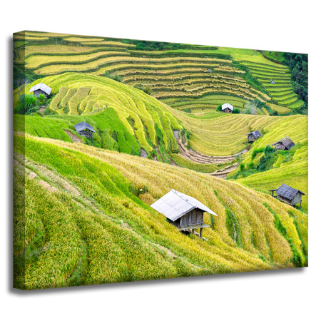 Leinwandgemälde Natur Landwirtschaftliche Terrassen 40x30 cm