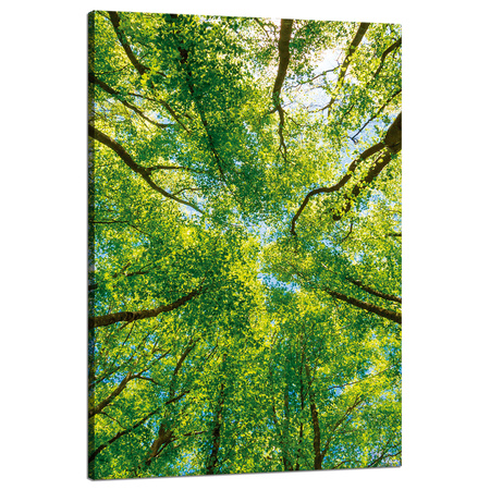 Leinwandgemälde Bäume Blätter Natur Wald Frühling 80x120 cm