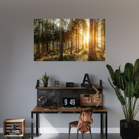 Leinwandgemälde Birken Bäume Sonnenmorgen 120x70 cm