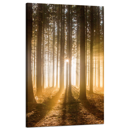 Leinwandgemälde Sonne im Wald Baumlicht 50x80 cm