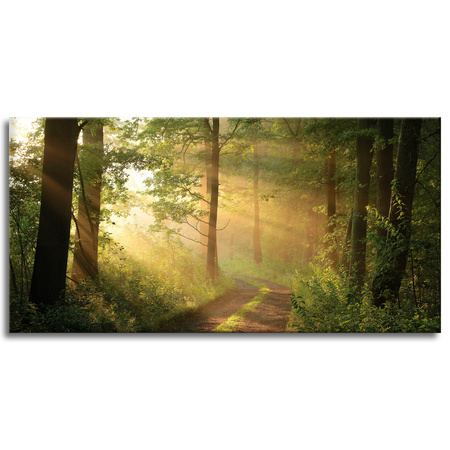 Leinwandgemälde Sonnenlicht Waldweg Natur 120x60 cm